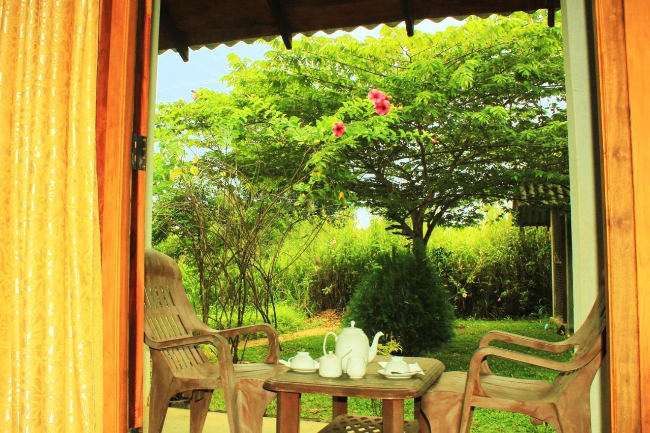 Green Hut Nature Resort 시기리야 외부 사진