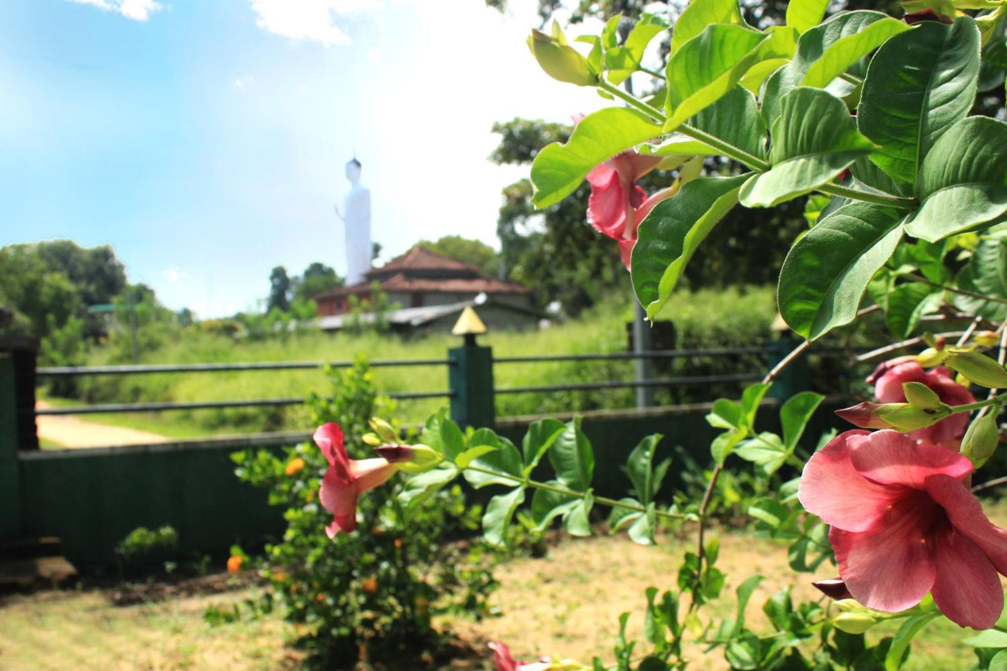 Green Hut Nature Resort 시기리야 외부 사진